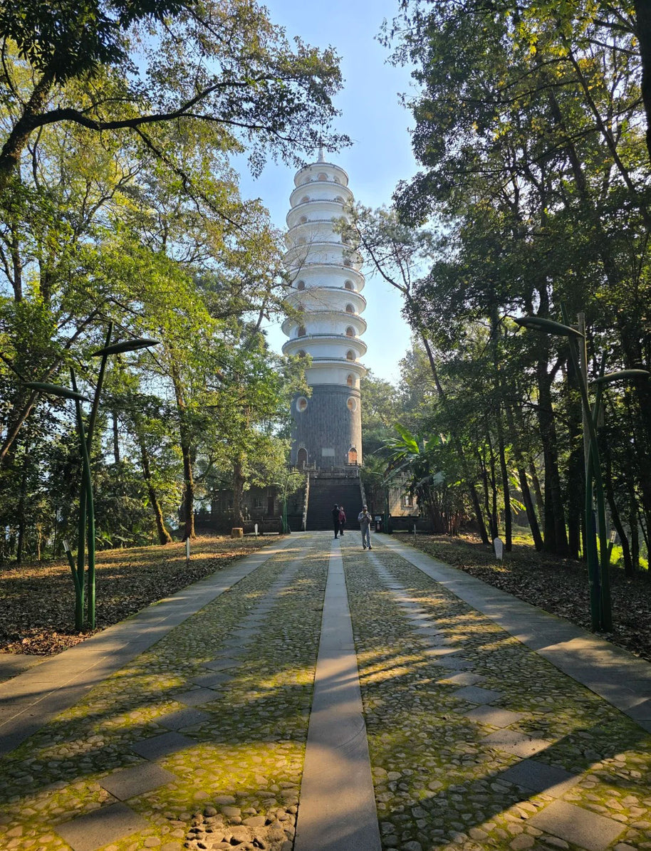 10 Days Tengchong Birding Tour