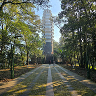 10 Days Tengchong Birding Tour