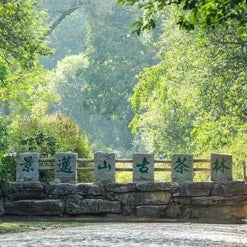 2 Days Jingmai Mountain Tour