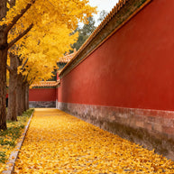 17 Days Beijing Shanghai Suzhou Wuzhen Lijiang Tour