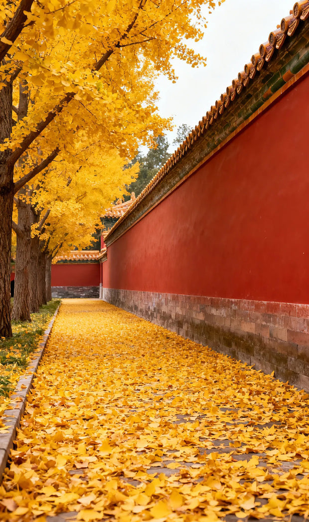 17 Days Beijing Shanghai Suzhou Wuzhen Lijiang Tour