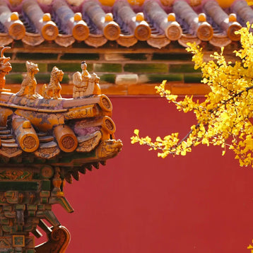12 Days Beijing Xi'an Tour