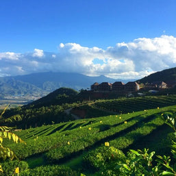 7 Days Kunming Lincang Shuangjiang Cangyuan Jiangmai Mountain Tour