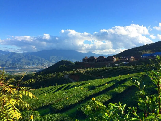 7 Days Kunming Lincang Shuangjiang Cangyuan Jiangmai Mountain Tour