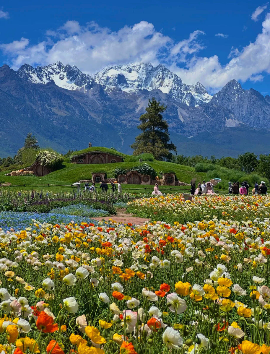 8 Days Dali Lijiang Shangri-La Lugu Lake Tour