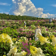8 Days Dali Lijiang Shangri-La Lugu Lake Tour