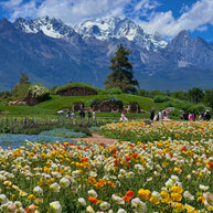 8 Days Dali Lijiang Shangri-La Lugu Lake Tour