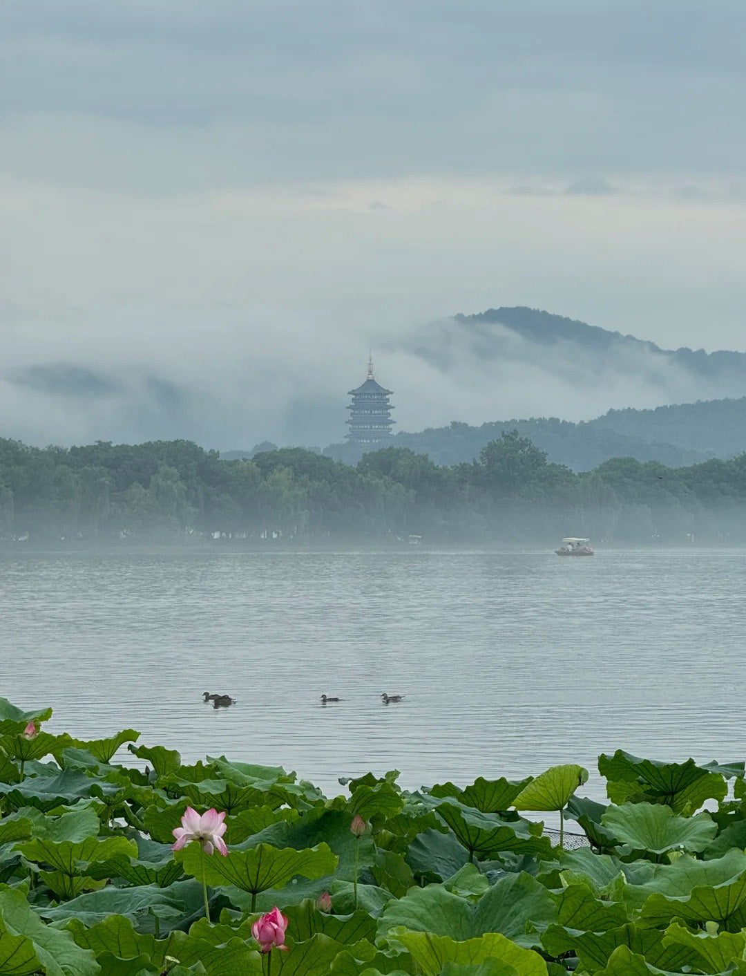 4 Days Shanghai Suzhou Hangzhou Wuzhen Tour