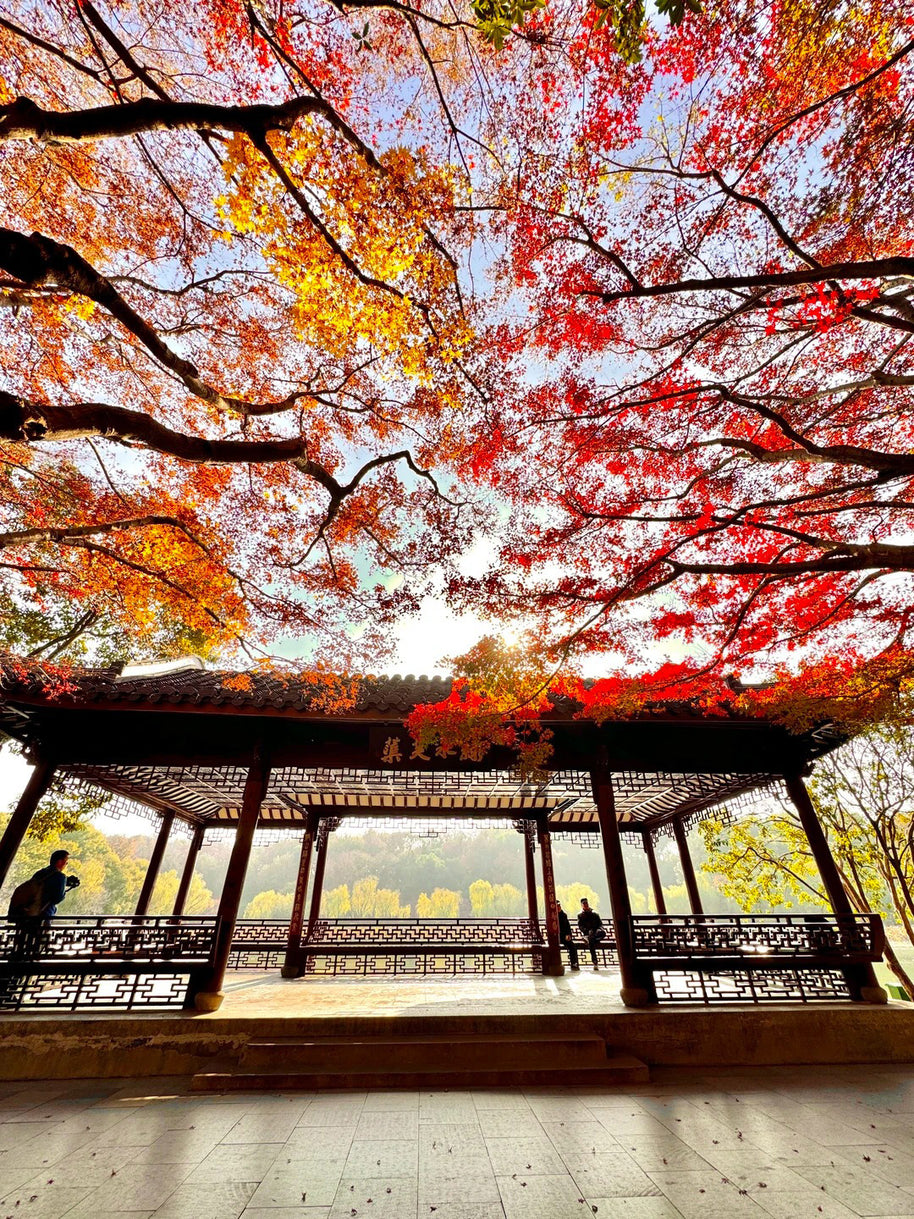 4 Days Shanghai Suzhou Hangzhou Wuzhen Tour