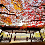 4 Days Shanghai Suzhou Hangzhou Wuzhen Tour