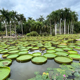 5 Days Xishuangbanna Tour