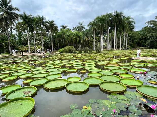 5 Days Xishuangbanna Tour