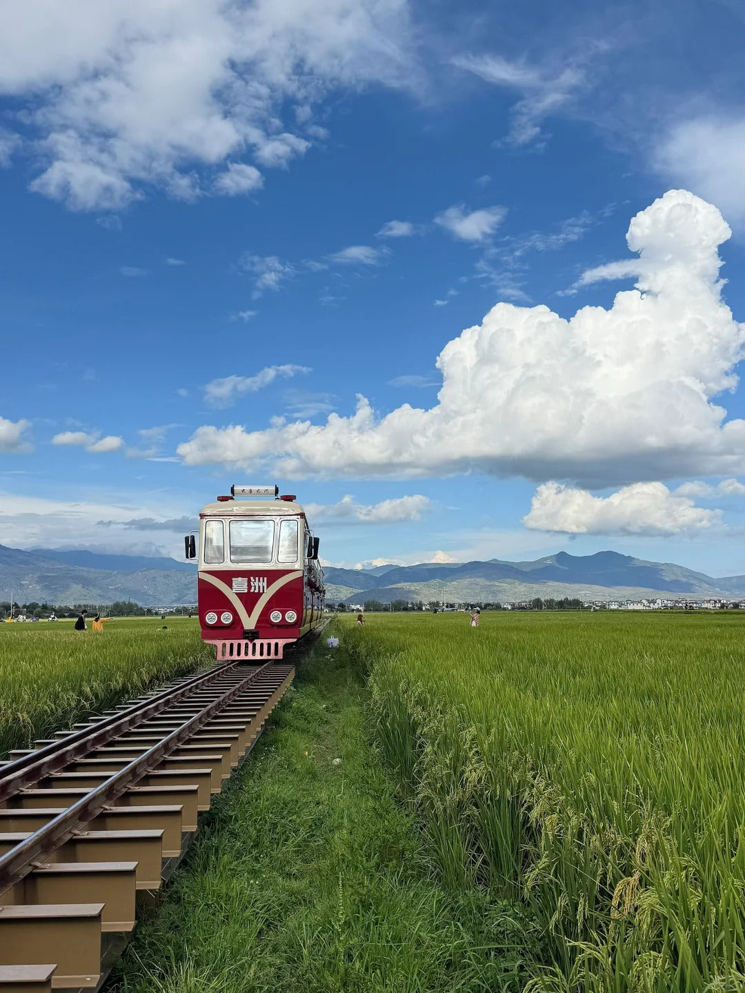 12 Days Kunming Dali Lijiang Lugu Lake Shangri-La Feilai Temple Tour