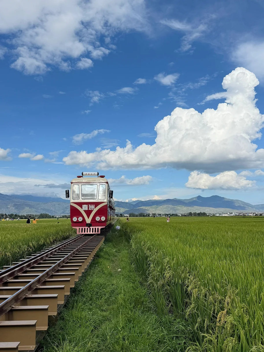 12 Days Kunming Dali Lijiang Lugu Lake Shangri-La Feilai Temple Tour