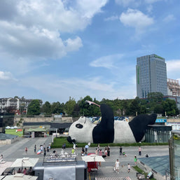 Tour de 5 días por Chengdu