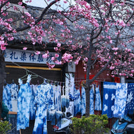 12 Days Kunming Dali Lijiang Lugu Lake Shangri-La Feilai Temple Tour